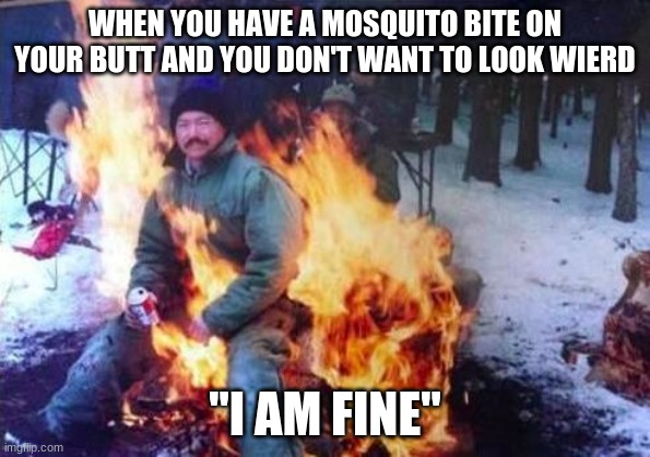 LIGAF | WHEN YOU HAVE A MOSQUITO BITE ON YOUR BUTT AND YOU DON'T WANT TO LOOK WIERD; "I AM FINE" | image tagged in memes,ligaf | made w/ Imgflip meme maker