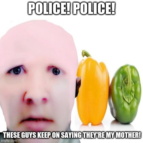 These guys think they're my mother! | POLICE! POLICE! THESE GUYS KEEP ON SAYING THEY'RE MY MOTHER! | image tagged in police,mother,mothers day | made w/ Imgflip meme maker