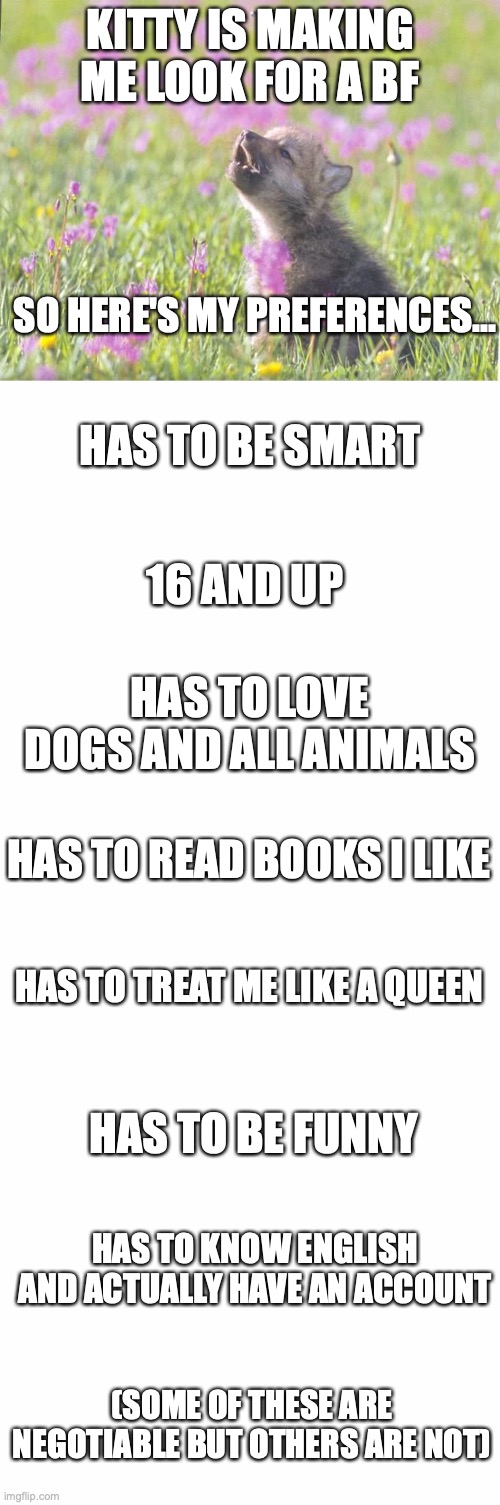 I be picky.... I blame books but don't mind XD | KITTY IS MAKING ME LOOK FOR A BF; SO HERE'S MY PREFERENCES... HAS TO BE SMART; 16 AND UP; HAS TO LOVE DOGS AND ALL ANIMALS; HAS TO READ BOOKS I LIKE; HAS TO TREAT ME LIKE A QUEEN; HAS TO BE FUNNY; HAS TO KNOW ENGLISH AND ACTUALLY HAVE AN ACCOUNT; (SOME OF THESE ARE NEGOTIABLE BUT OTHERS ARE NOT) | image tagged in memes,baby insanity wolf,blank white template,puppylover04,bf material is hard to come by,good luck kitty | made w/ Imgflip meme maker