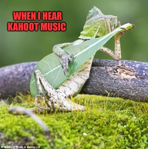 Lizard Music |  WHEN I HEAR KAHOOT MUSIC | image tagged in lizard music | made w/ Imgflip meme maker