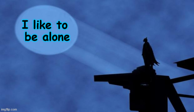 batman signal | I like to 
be alone | image tagged in batman signal | made w/ Imgflip meme maker