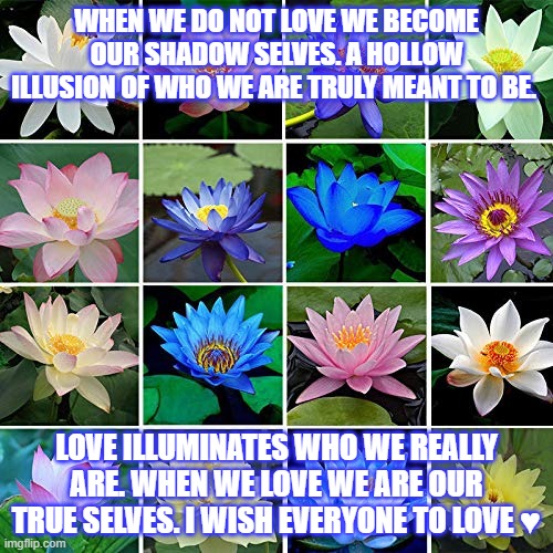 Love Illuminates Reality | WHEN WE DO NOT LOVE WE BECOME OUR SHADOW SELVES. A HOLLOW ILLUSION OF WHO WE ARE TRULY MEANT TO BE. LOVE ILLUMINATES WHO WE REALLY ARE. WHEN WE LOVE WE ARE OUR TRUE SELVES. I WISH EVERYONE TO LOVE ♥ | image tagged in love,inspire the people,true love | made w/ Imgflip meme maker