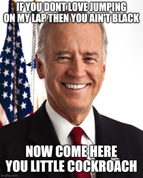 Joe Biden Meme | IF YOU DONT LOVE JUMPING ON MY LAP THEN YOU AIN'T BLACK; NOW COME HERE YOU LITTLE COCKROACH | image tagged in memes,joe biden | made w/ Imgflip meme maker