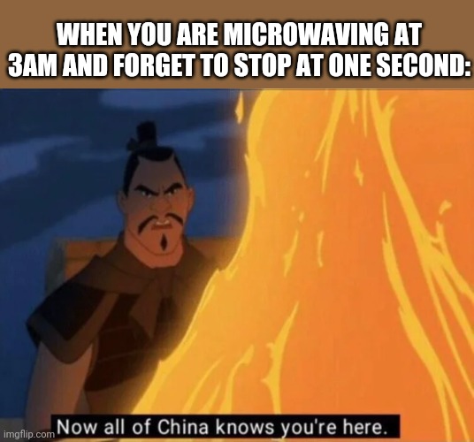 Now all of China knows you're here | WHEN YOU ARE MICROWAVING AT 3AM AND FORGET TO STOP AT ONE SECOND: | image tagged in now all of china knows you're here | made w/ Imgflip meme maker