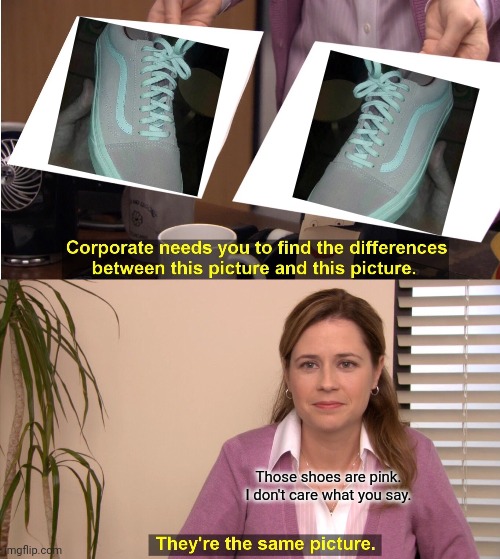 They're The Same Picture Meme | Those shoes are pink. I don't care what you say. | image tagged in memes,they're the same picture,memes | made w/ Imgflip meme maker