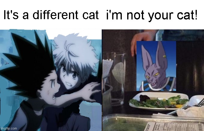 Woman Yelling At Cat Meme | It's a different cat; i'm not your cat! | image tagged in memes,woman yelling at cat,hxh,dragonballsuper,beerus | made w/ Imgflip meme maker