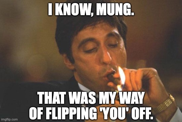 Scarface Serious | I KNOW, MUNG. THAT WAS MY WAY OF FLIPPING 'YOU' OFF. | image tagged in scarface serious | made w/ Imgflip meme maker