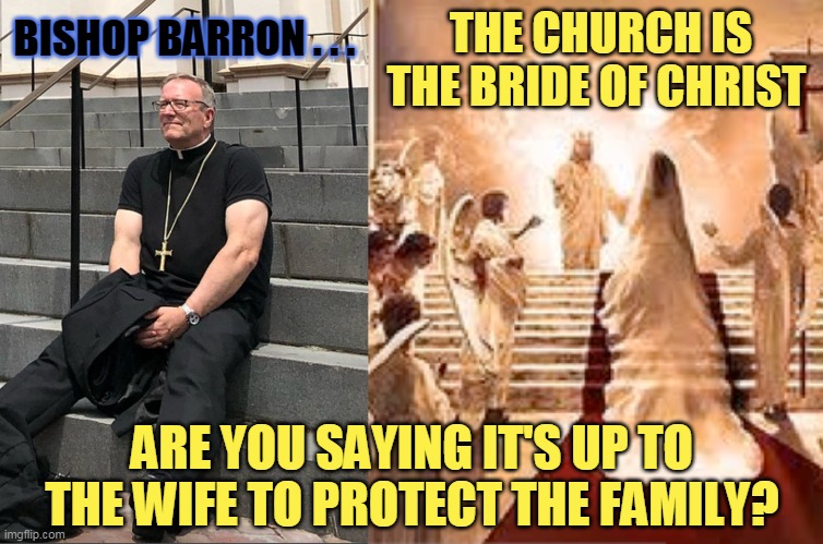 THE CHURCH IS THE BRIDE OF CHRIST; BISHOP BARRON . . . ARE YOU SAYING IT'S UP TO THE WIFE TO PROTECT THE FAMILY? | made w/ Imgflip meme maker