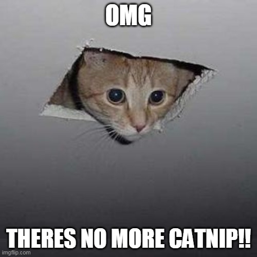 Catnip Trouble!! | OMG; THERES NO MORE CATNIP!! | image tagged in memes,ceiling cat | made w/ Imgflip meme maker