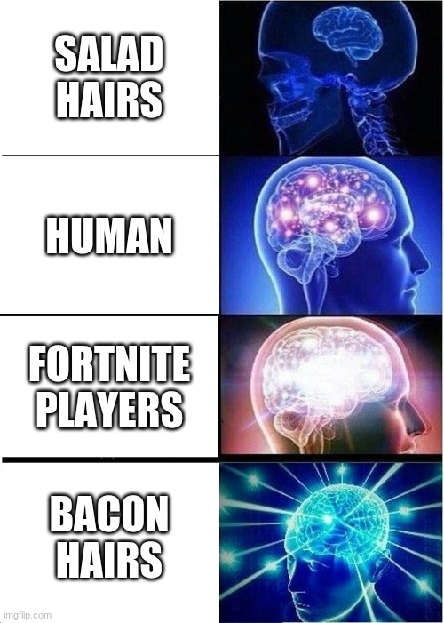 GO MYUSENAMEISTHIS | SALAD HAIRS; HUMAN; FORTNITE PLAYERS; BACON HAIRS | image tagged in memes,expanding brain | made w/ Imgflip meme maker