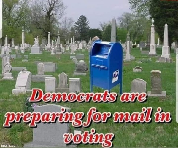 Voter Fraud | image tagged in liberal logic,voter fraud,riots,looting,covid-19 | made w/ Imgflip meme maker