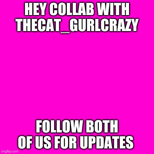 Blank Hot Pink Background | HEY COLLAB WITH THECAT_GURLCRAZY; FOLLOW BOTH OF US FOR UPDATES | image tagged in blank hot pink background | made w/ Imgflip meme maker