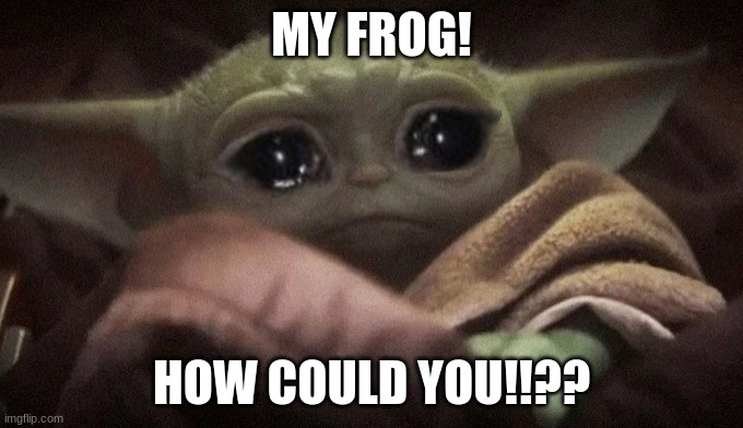 Crying Baby Yoda | MY FROG! HOW COULD YOU!!?? | image tagged in crying baby yoda | made w/ Imgflip meme maker