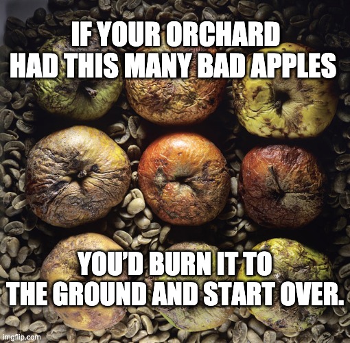 Bad Apples | IF YOUR ORCHARD HAD THIS MANY BAD APPLES; YOU’D BURN IT TO THE GROUND AND START OVER. | image tagged in bad apples,start over | made w/ Imgflip meme maker