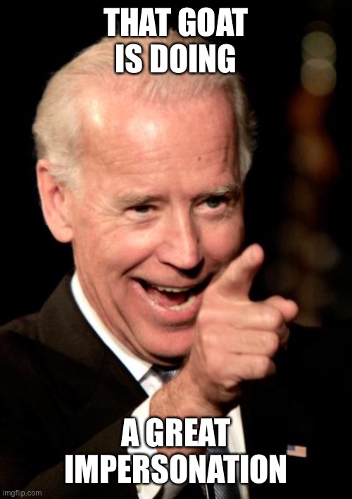 Smilin Biden Meme | THAT GOAT IS DOING A GREAT IMPERSONATION | image tagged in memes,smilin biden | made w/ Imgflip meme maker