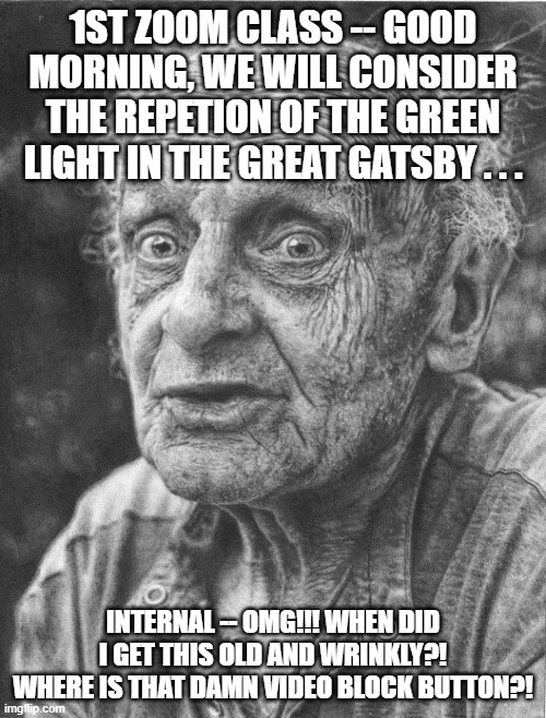First Zoom class taught | 1ST ZOOM CLASS -- GOOD MORNING, WE WILL CONSIDER THE REPETION OF THE GREEN LIGHT IN THE GREAT GATSBY . . . INTERNAL -- OMG!!! WHEN DID I GET THIS OLD AND WRINKLY?! WHERE IS THAT DAMN VIDEO BLOCK BUTTON?! | image tagged in zoom,getting older | made w/ Imgflip meme maker