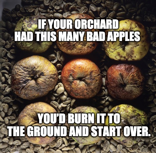 Bad Apples | IF YOUR ORCHARD HAD THIS MANY BAD APPLES; YOU’D BURN IT TO THE GROUND AND START OVER. | image tagged in politics,american politics,burn it down,start over,bad apples,bad apple | made w/ Imgflip meme maker