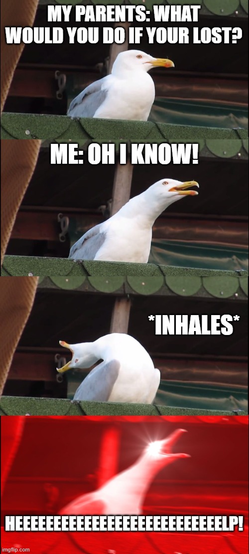 What to do when your lost | MY PARENTS: WHAT WOULD YOU DO IF YOUR LOST? ME: OH I KNOW! *INHALES*; HEEEEEEEEEEEEEEEEEEEEEEEEEEELP! | image tagged in memes,inhaling seagull | made w/ Imgflip meme maker