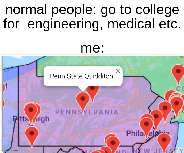 harry potter fan | normal people: go to college for  engineering, medical etc. me: | image tagged in harry potter | made w/ Imgflip meme maker