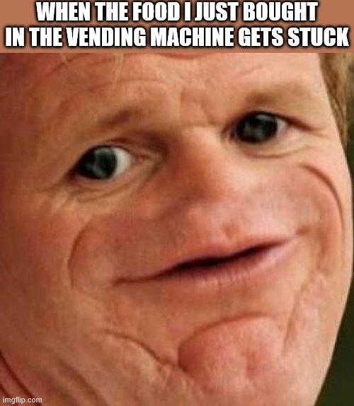SOSIG | WHEN THE FOOD I JUST BOUGHT IN THE VENDING MACHINE GETS STUCK | image tagged in sosig | made w/ Imgflip meme maker