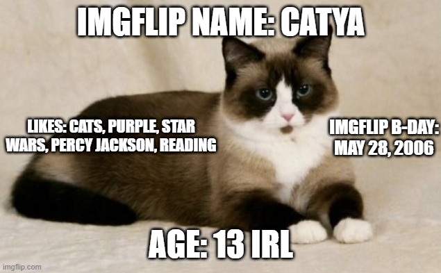 My Personal Bio | IMGFLIP NAME: CATYA; IMGFLIP B-DAY: MAY 28, 2006; LIKES: CATS, PURPLE, STAR WARS, PERCY JACKSON, READING; AGE: 13 IRL | image tagged in cat | made w/ Imgflip meme maker