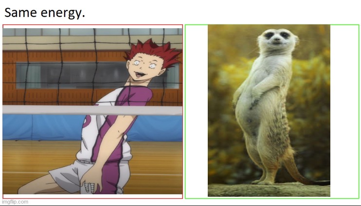 Satori really be looking like a meerkat though... | image tagged in same energy,haikyuu,anime,anime meme,animeme,anime memes | made w/ Imgflip meme maker