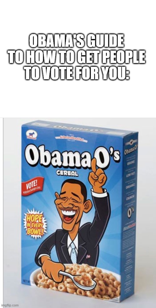 OBAMA'S GUIDE TO HOW TO GET PEOPLE TO VOTE FOR YOU: | image tagged in blank white template | made w/ Imgflip meme maker