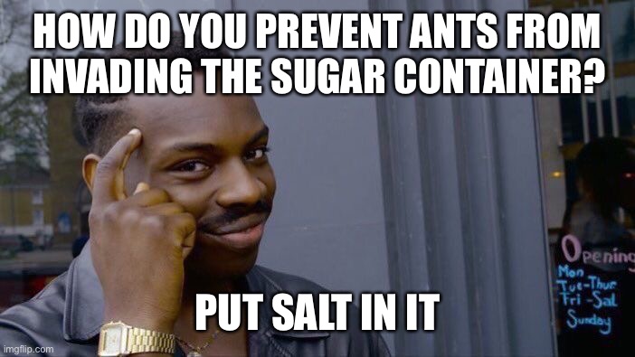 Roll Safe Think About It Meme | HOW DO YOU PREVENT ANTS FROM INVADING THE SUGAR CONTAINER? PUT SALT IN IT | image tagged in memes,roll safe think about it | made w/ Imgflip meme maker