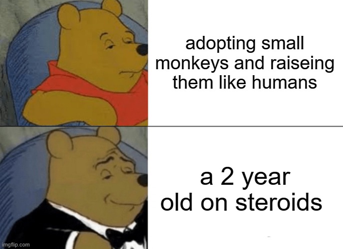 Tuxedo Winnie The Pooh | adopting small monkeys and raiseing them like humans; a 2 year old on steroids | image tagged in memes,tuxedo winnie the pooh | made w/ Imgflip meme maker