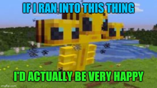 I would | IF I RAN INTO THIS THING; I'D ACTUALLY BE VERY HAPPY | image tagged in memes,bees | made w/ Imgflip meme maker