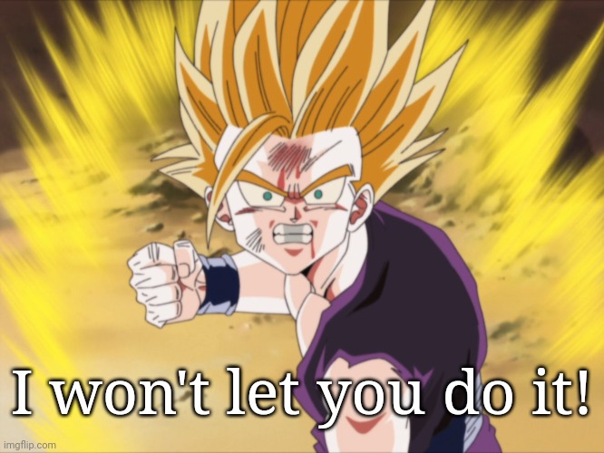 Anger SSJ2 Teen Gohan (DBZ) | I won't let you do it! | image tagged in anger ssj2 teen gohan dbz,memes,dragon ball z,gohan,anger | made w/ Imgflip meme maker