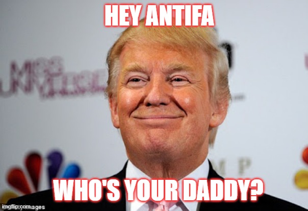 Donald trump approves | HEY ANTIFA WHO'S YOUR DADDY? | image tagged in donald trump approves | made w/ Imgflip meme maker