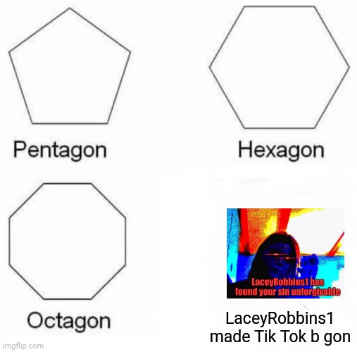 No One Likes Tik Tok (so that would be great if Tik Tok was gone) | LaceyRobbins1 made Tik Tok b gon | image tagged in memes,pentagon hexagon octagon | made w/ Imgflip meme maker