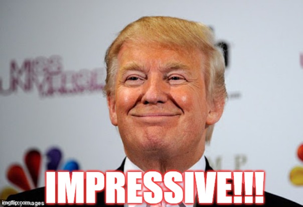 Donald trump approves | IMPRESSIVE!!! | image tagged in donald trump approves | made w/ Imgflip meme maker