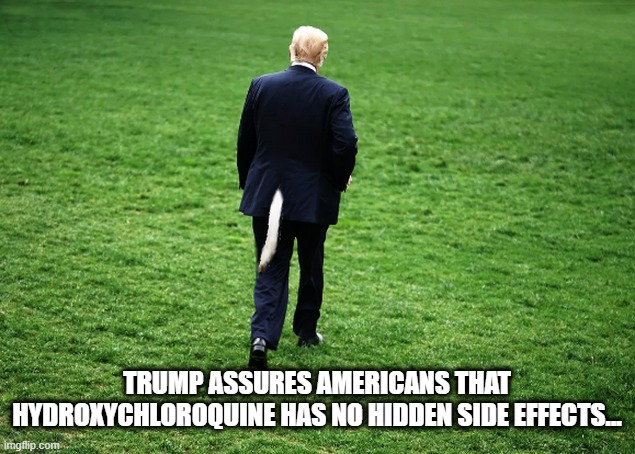 Woof-woof ! | TRUMP ASSURES AMERICANS THAT HYDROXYCHLOROQUINE HAS NO HIDDEN SIDE EFFECTS... | image tagged in trump is a moron,dog,donald trump is an idiot,covid-19 | made w/ Imgflip meme maker