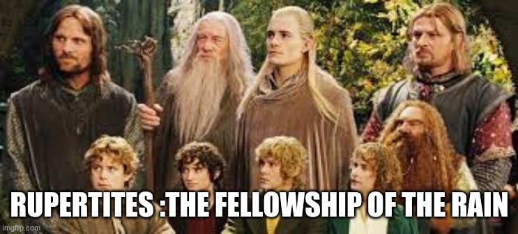 The Fellowship of the ring | RUPERTITES :THE FELLOWSHIP OF THE RAIN | image tagged in the fellowship of the ring | made w/ Imgflip meme maker