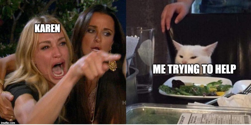 salad cat | KAREN; ME TRYING TO HELP | image tagged in salad cat | made w/ Imgflip meme maker