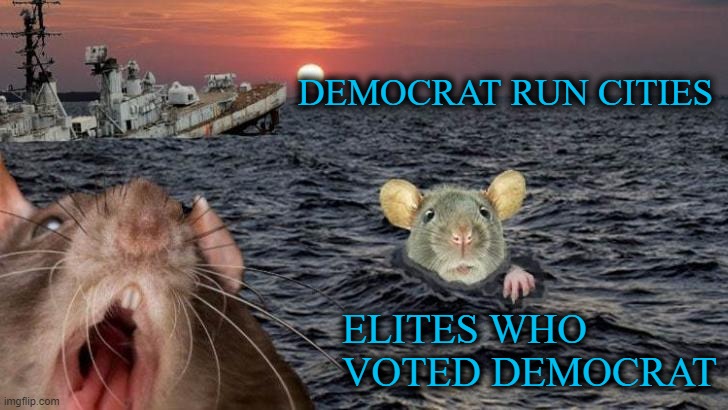 Rats from a Sinking Ship | DEMOCRAT RUN CITIES; ELITES WHO VOTED DEMOCRAT | image tagged in sinking ship,democrats | made w/ Imgflip meme maker