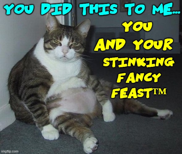 Recrimination Cat | YOU DID THIS TO ME... YOU AND YOUR; STINKING 
FANCY 
FEAST™ | image tagged in vince vance,cats,fat cat,fancy feast,i love cats,funny cat memes | made w/ Imgflip meme maker