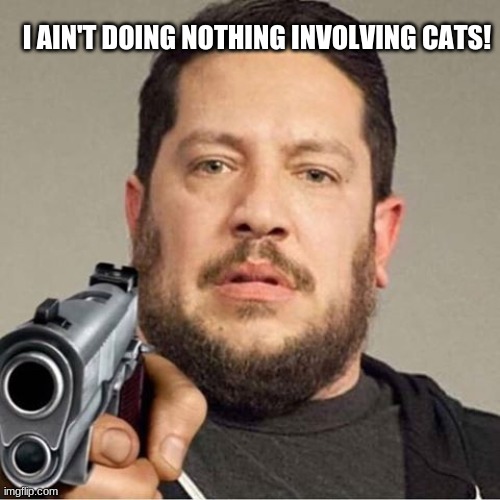 Sal Vulcano Pointing A Gun At You | I AIN'T DOING NOTHING INVOLVING CATS! | image tagged in sal vulcano pointing a gun at you | made w/ Imgflip meme maker