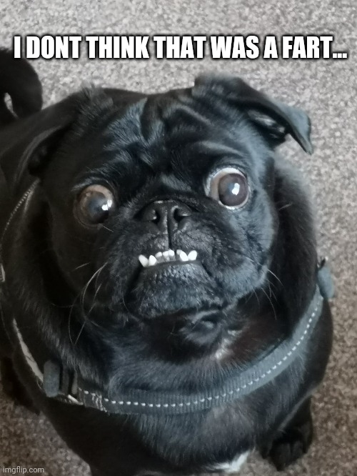 pug template comments