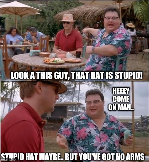 Arms | LOOK A THIS GUY, THAT HAT IS STUPID! HEEEY COME ON MAN.. STUPID HAT MAYBE.. BUT YOU'VE GOT NO ARMS | image tagged in memes,see nobody cares | made w/ Imgflip meme maker