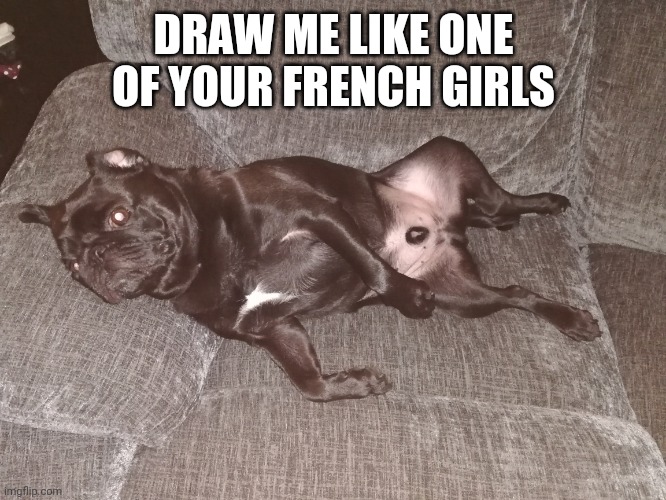 Draw me |  DRAW ME LIKE ONE OF YOUR FRENCH GIRLS | image tagged in draw me like one of your french girls,pug,dog,cute dog,funny dogs | made w/ Imgflip meme maker