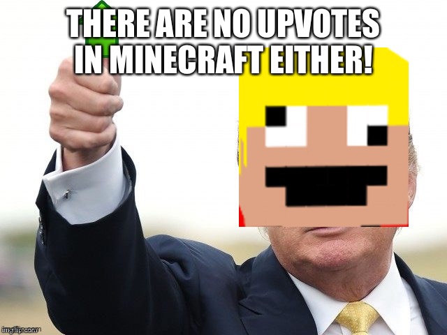 Trump Upvote | THERE ARE NO UPVOTES IN MINECRAFT EITHER! | image tagged in trump upvote | made w/ Imgflip meme maker