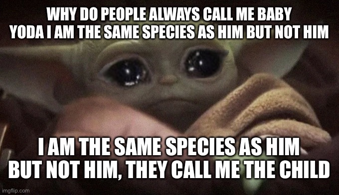 It’s the truth you know part 3 | WHY DO PEOPLE ALWAYS CALL ME BABY YODA I AM THE SAME SPECIES AS HIM BUT NOT HIM; I AM THE SAME SPECIES AS HIM BUT NOT HIM, THEY CALL ME THE CHILD | image tagged in crying baby yoda,memes,true | made w/ Imgflip meme maker