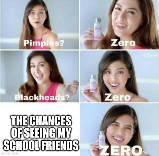 Pimples, Zero! | THE CHANCES OF SEEING MY SCHOOL FRIENDS | image tagged in pimples zero | made w/ Imgflip meme maker