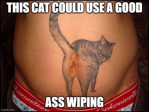Toilet Paper Shortage | THIS CAT COULD USE A GOOD; ASS WIPING | image tagged in cats,memes,funny,ass,wiping,no tp | made w/ Imgflip meme maker