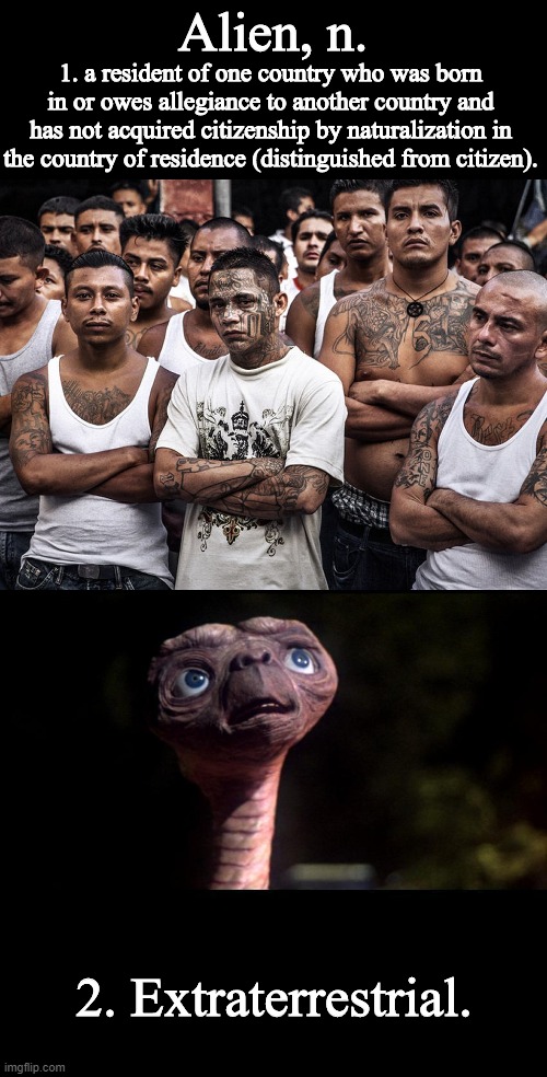 Alien, n. 1. a resident of one country who was born in or owes allegiance to another country and has not acquired citizenship by naturalizat | image tagged in et extraterrestrial,ms-13 dreamers daca | made w/ Imgflip meme maker