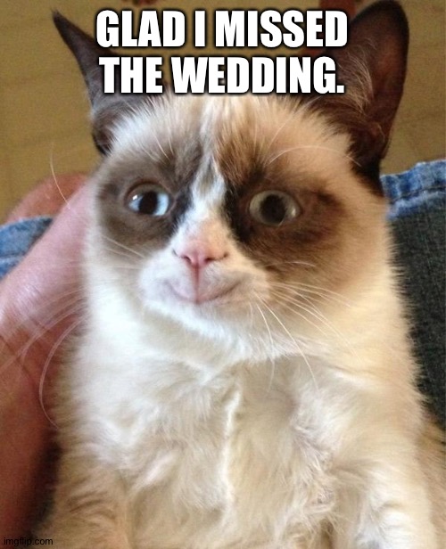 Grumpy Cat Happy | GLAD I MISSED THE WEDDING. | image tagged in memes,grumpy cat happy,grumpy cat | made w/ Imgflip meme maker