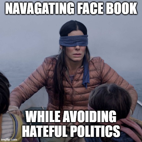 facebook politics | NAVAGATING FACE BOOK; WHILE AVOIDING HATEFUL POLITICS | image tagged in memes,bird box,facebook politics | made w/ Imgflip meme maker